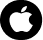 Apple Music Icon