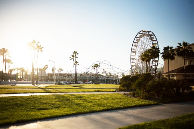 Fall in Long Beach Picture