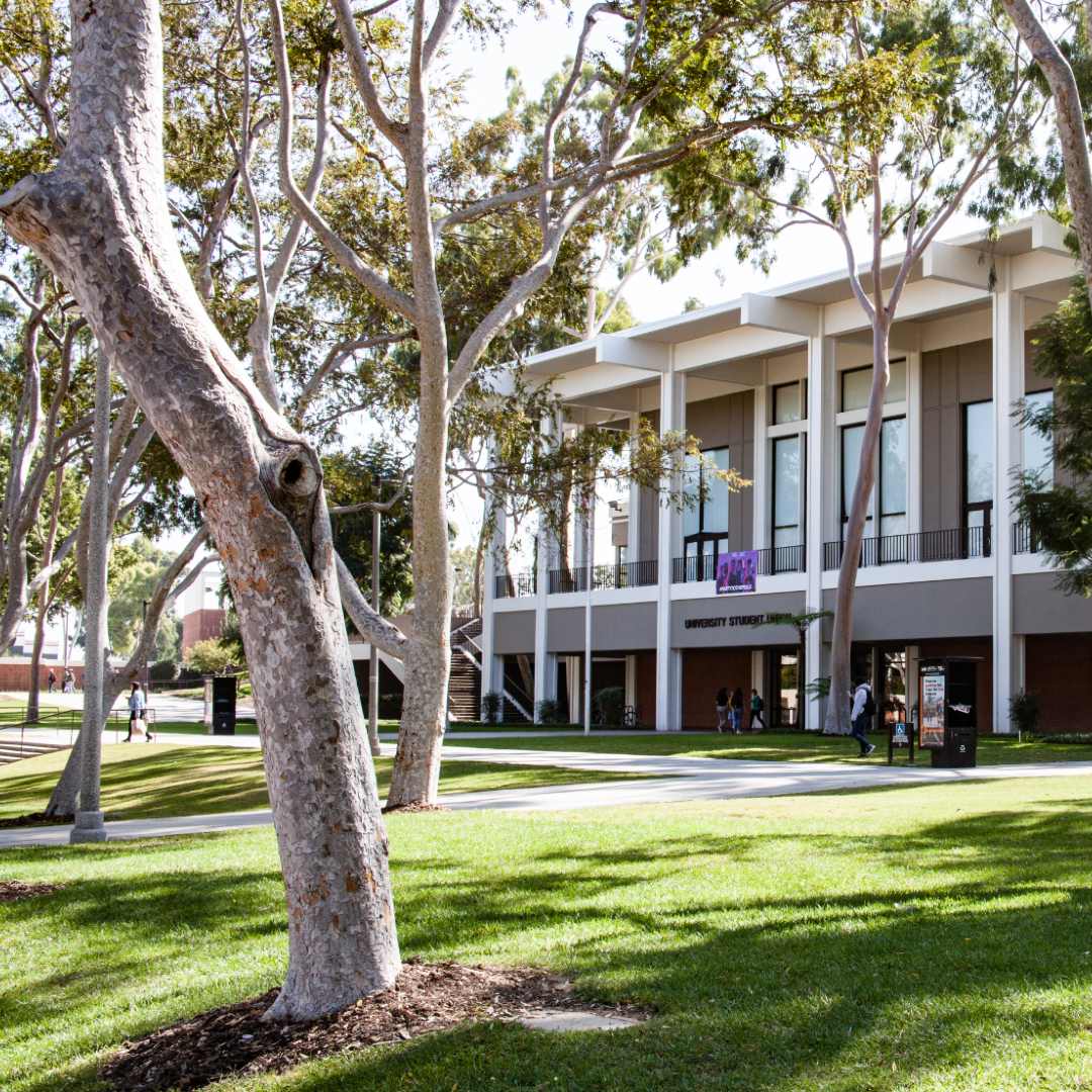 University Lawn Areas