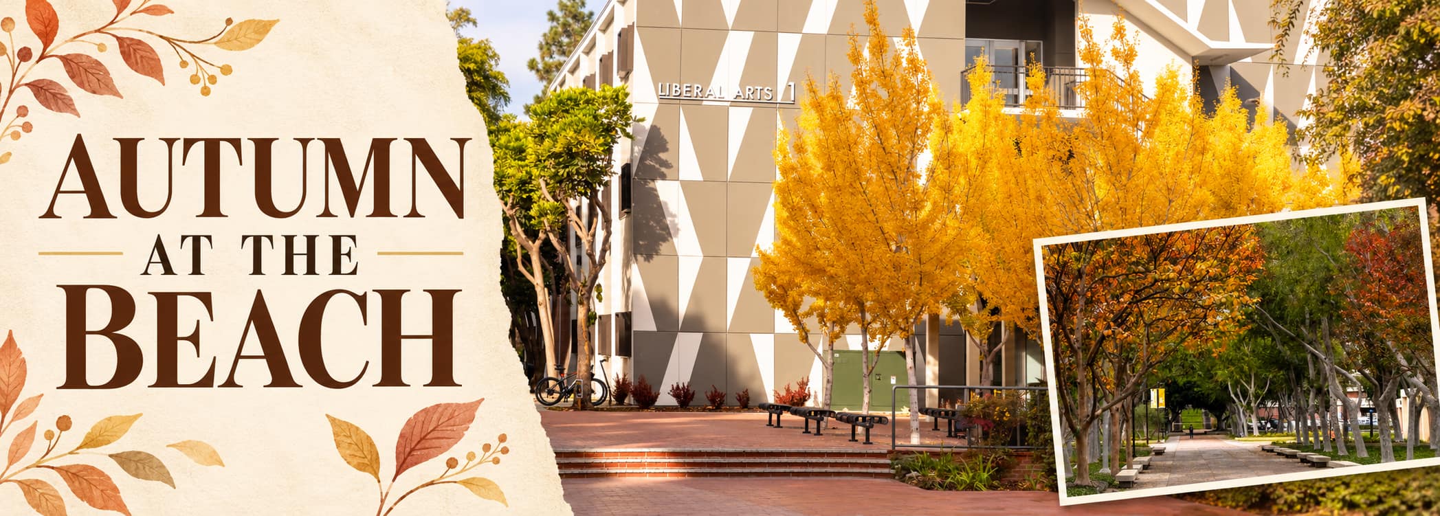 leaves changing color in autumn Cover
