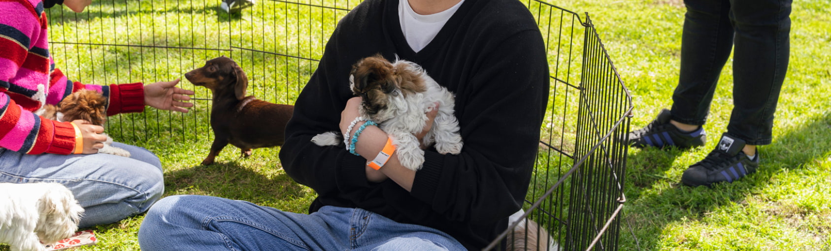 Pups & Cups banner