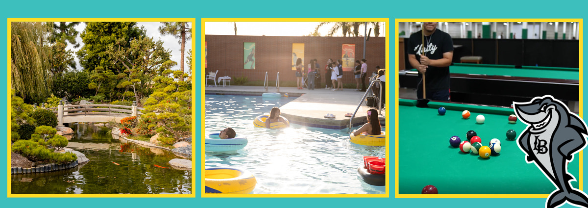 Need a Midterms Refresh? Banner image