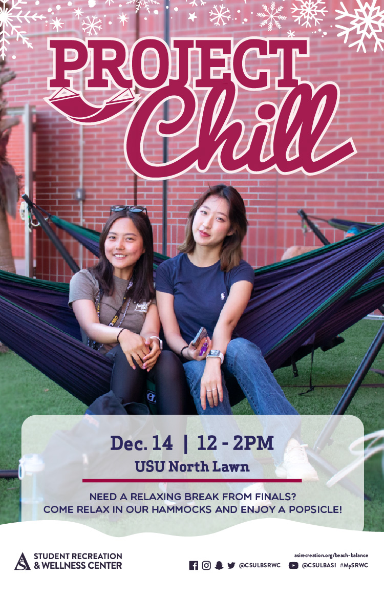 project chill poster