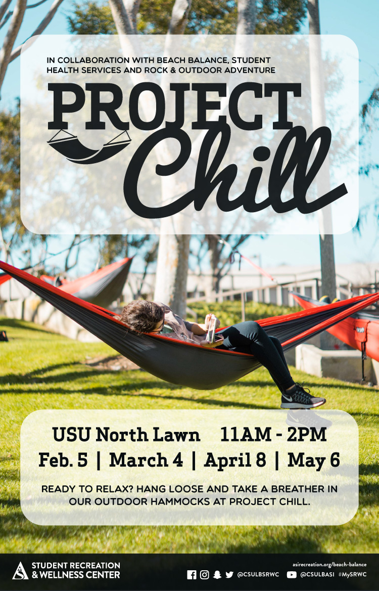 project chill poster