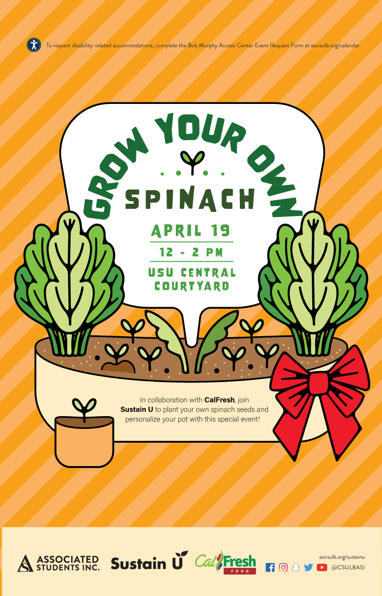 Spring Grow Your Own Spinach