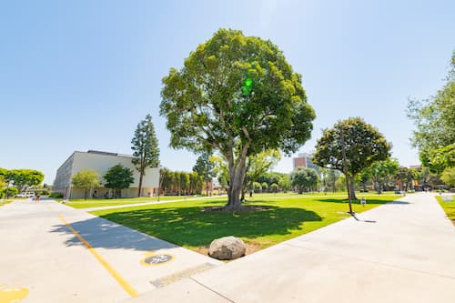 Central Quad