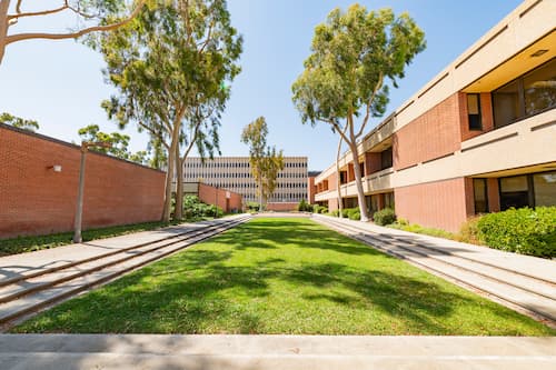 HSD North Lawn