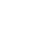 TikTok Icon
